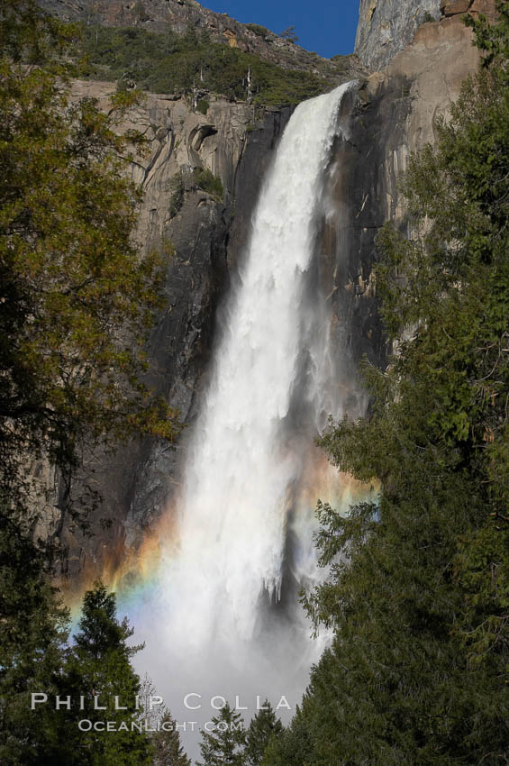 Bridalveil Falls with a rainbow forming in its spray, dropping 620 into Yosemite Valley, displaying peak water flow in spring months from deep snowpack and warm weather melt.  Yosemite Valley. Yosemite National Park, California, USA, natural history stock photograph, photo id 16173