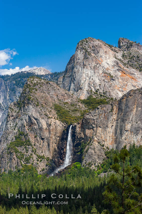 Bridalveil Falls in Yosemite drops 620 feet (188 m) from a hanging valley to the floor of Yosemite Valley. Yosemite National Park, California, USA, natural history stock photograph, photo id 09184