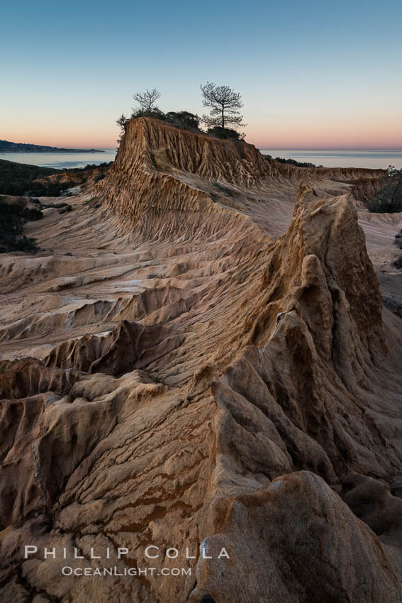 Broken Hill just before dawn, from Torrey Pines State Reserve, sunrise. San Diego, California, USA, natural history stock photograph, photo id 30452