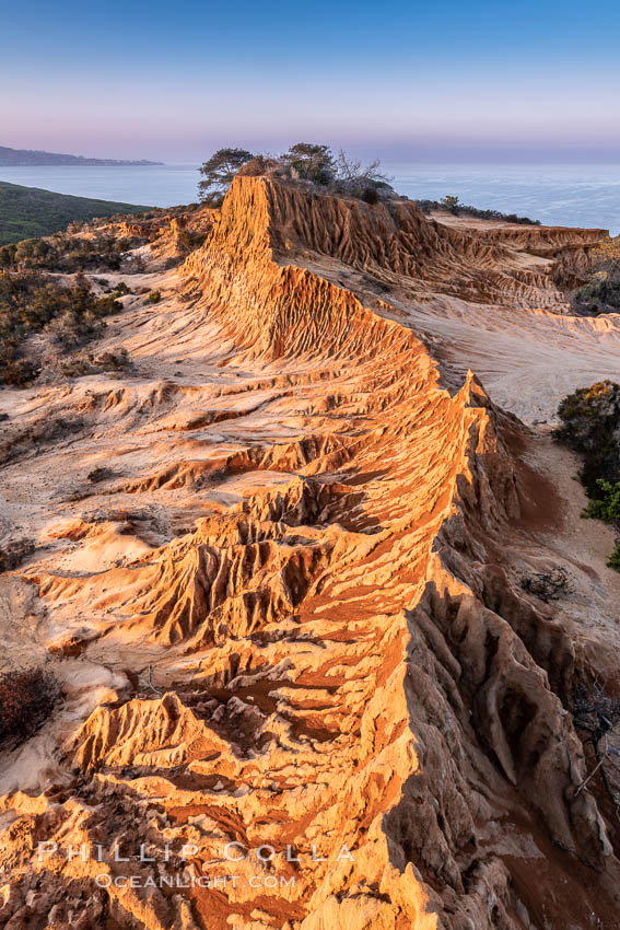 Sunrise over Broken Hill, overlooking La Jolla and the Pacific Ocean, Torrey Pines State Reserve. San Diego, California, USA, natural history stock photograph, photo id 35850