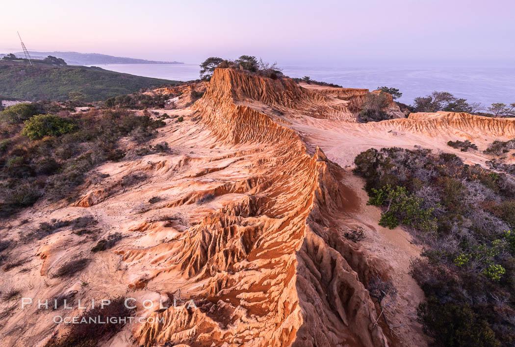 Sunrise over Broken Hill, overlooking La Jolla and the Pacific Ocean, Torrey Pines State Reserve. San Diego, California, USA, natural history stock photograph, photo id 35849