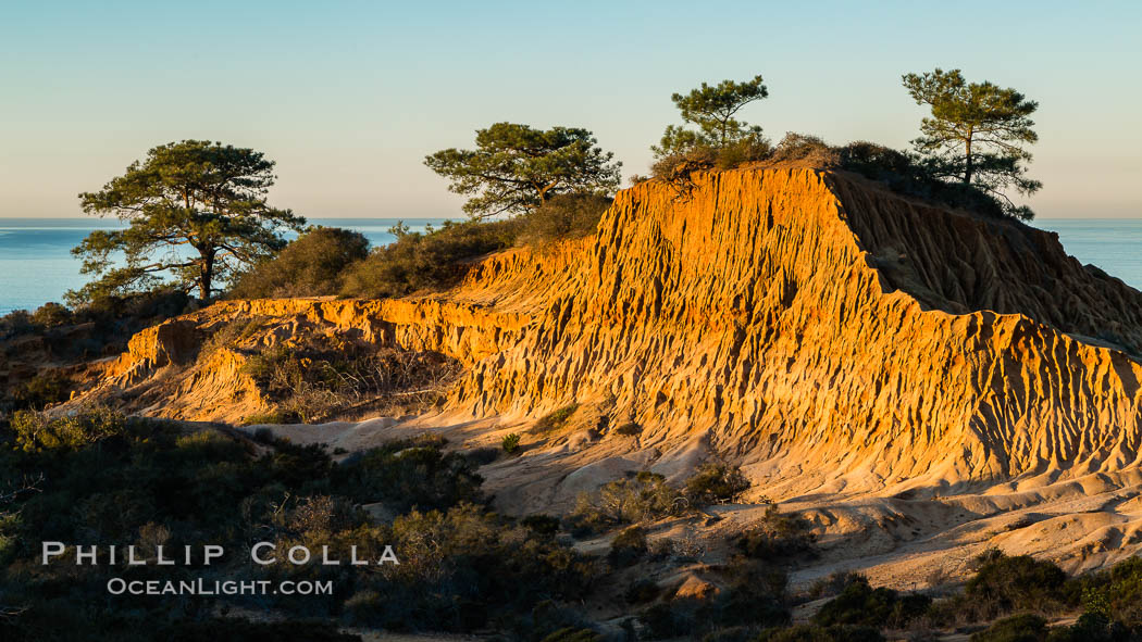 Broken Hill and view to La Jolla, from Torrey Pines State Reserve, sunrise. San Diego, California, USA, natural history stock photograph, photo id 28374