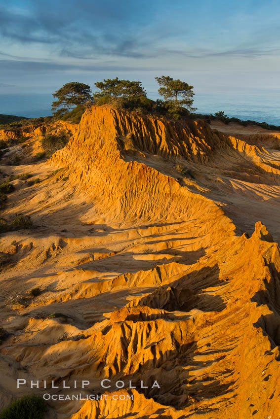 Broken Hill and view to La Jolla, from Torrey Pines State Reserve, sunrise. San Diego, California, USA, natural history stock photograph, photo id 28398