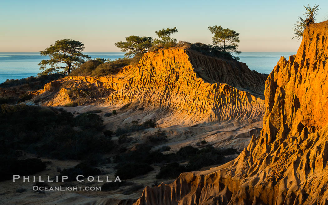 Broken Hill and view to La Jolla, from Torrey Pines State Reserve, sunrise. San Diego, California, USA, natural history stock photograph, photo id 28372