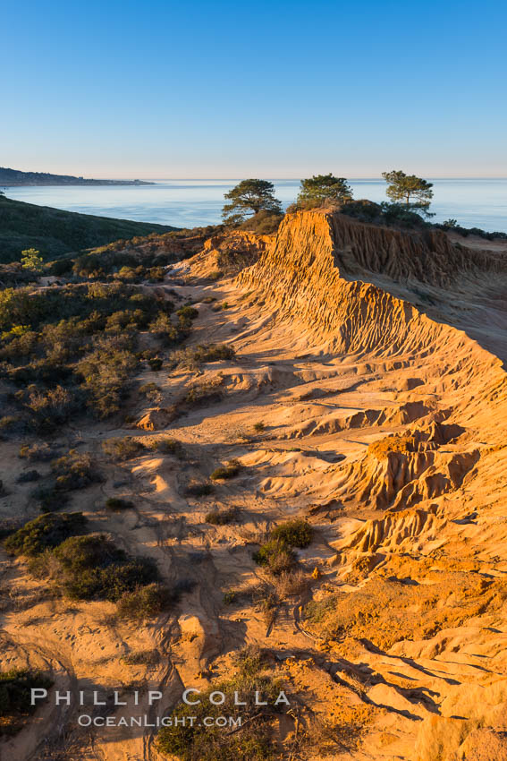 Broken Hill and view to La Jolla, from Torrey Pines State Reserve, sunrise. San Diego, California, USA, natural history stock photograph, photo id 28376
