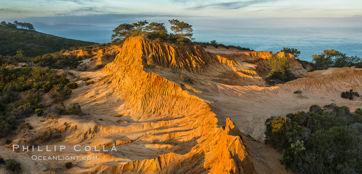 Broken Hill and view to La Jolla, from Torrey Pines State Reserve, sunrise. San Diego, California, USA, natural history stock photograph, photo id 28396