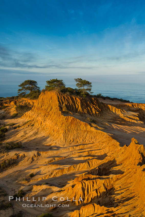 Broken Hill and view to La Jolla, from Torrey Pines State Reserve, sunrise. San Diego, California, USA, natural history stock photograph, photo id 28399