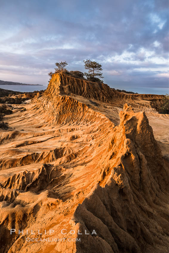 Clearing storm clouds over Broken Hill, overlooking La Jolla and the Pacific Ocean, Torrey Pines State Reserve. San Diego, California, USA, natural history stock photograph, photo id 29417