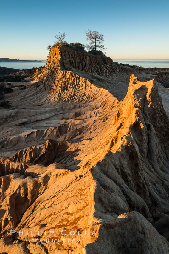 Broken Hill and view to La Jolla, from Torrey Pines State Reserve, sunrise. San Diego, California, USA, natural history stock photograph, photo id 30453