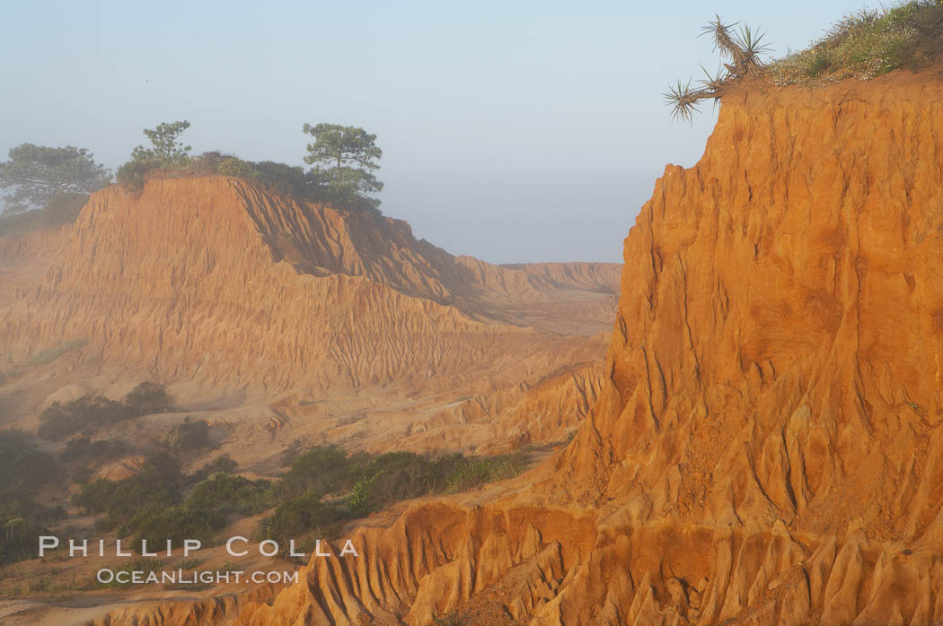 Broken Hill is an ancient, compacted sand dune that was uplifted to its present location and is now eroding. Torrey Pines State Reserve, San Diego, California, USA, natural history stock photograph, photo id 12026