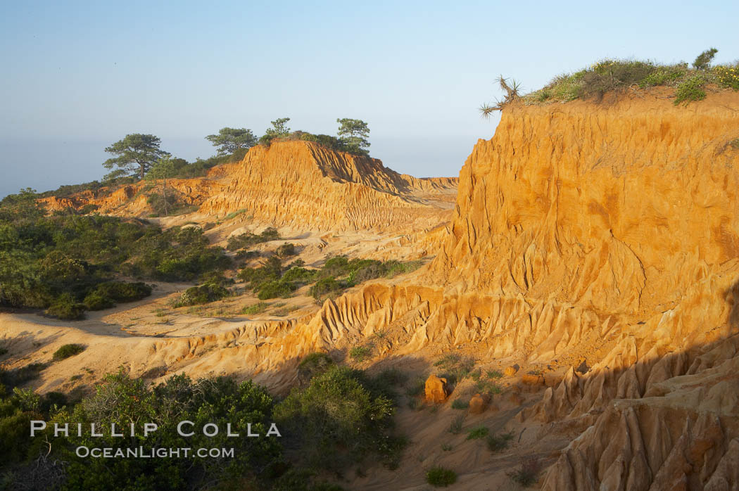 Broken Hill is an ancient, compacted sand dune that was uplifted to its present location and is now eroding. Torrey Pines State Reserve, San Diego, California, USA, natural history stock photograph, photo id 12030