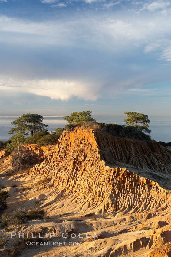 Broken Hill with the Pacific Ocean in the distance.  Broken Hill is an ancient, compacted sand dune that was uplifted to its present location and is now eroding. Torrey Pines State Reserve, San Diego, California, USA, natural history stock photograph, photo id 14754