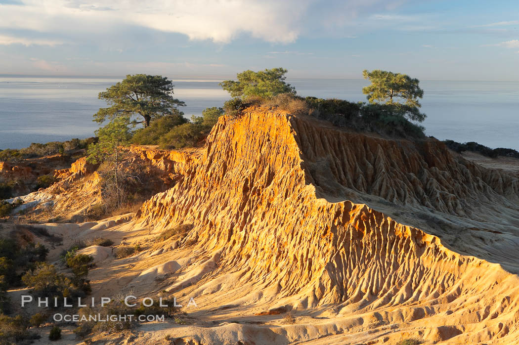 Broken Hill with the Pacific Ocean in the distance.  Broken Hill is an ancient, compacted sand dune that was uplifted to its present location and is now eroding. Torrey Pines State Reserve, San Diego, California, USA, natural history stock photograph, photo id 14758