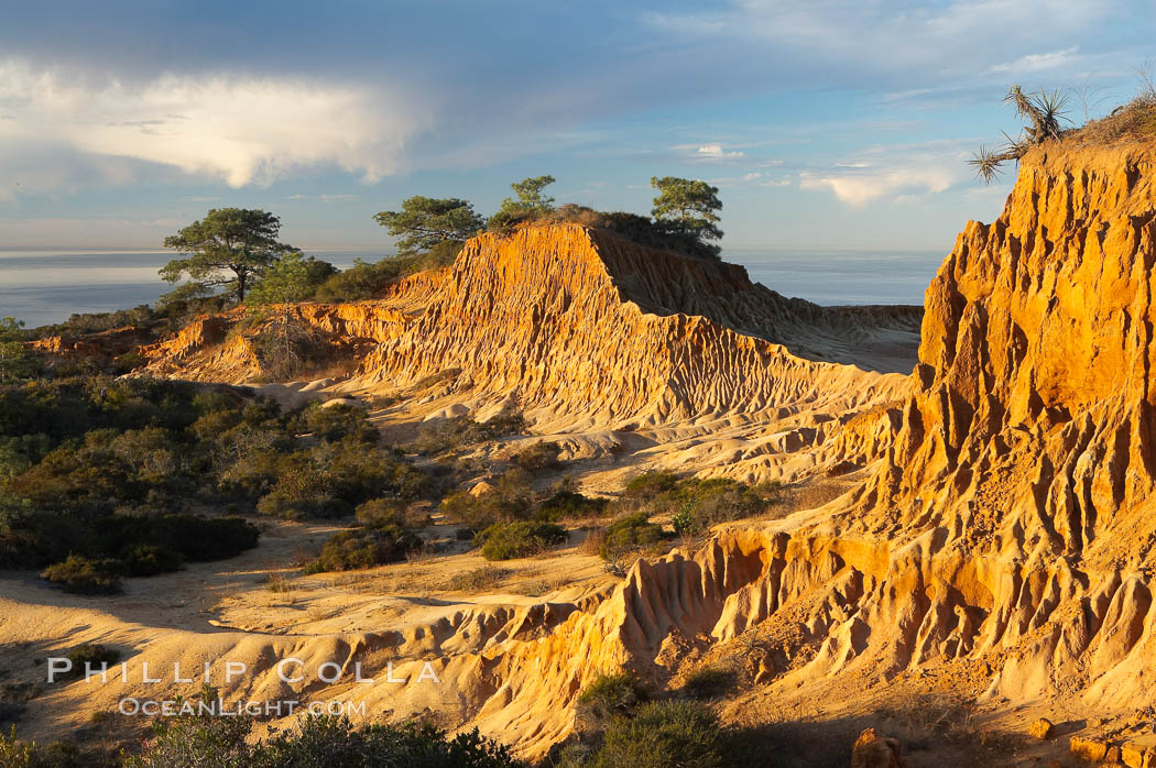 Broken Hill with the Pacific Ocean in the distance.  Broken Hill is an ancient, compacted sand dune that was uplifted to its present location and is now eroding. Torrey Pines State Reserve, San Diego, California, USA, natural history stock photograph, photo id 14762