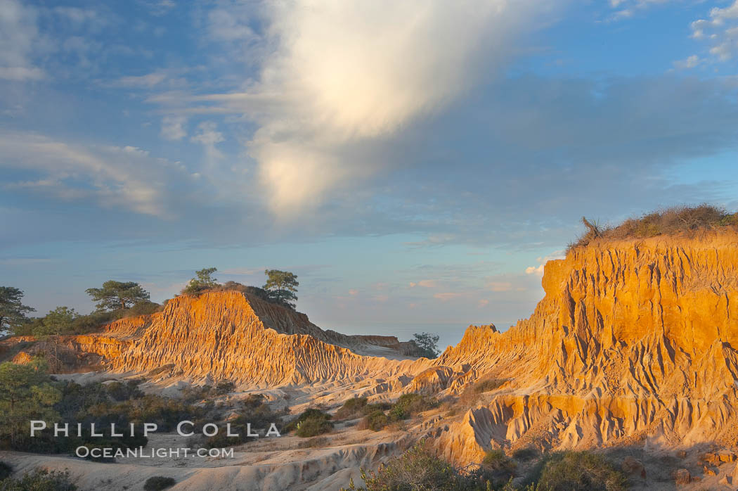Broken Hill is an ancient, compacted sand dune that was uplifted to its present location and is now eroding. Torrey Pines State Reserve, San Diego, California, USA, natural history stock photograph, photo id 14766