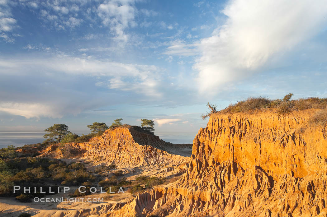 Broken Hill is an ancient, compacted sand dune that was uplifted to its present location and is now eroding. Torrey Pines State Reserve, San Diego, California, USA, natural history stock photograph, photo id 18930