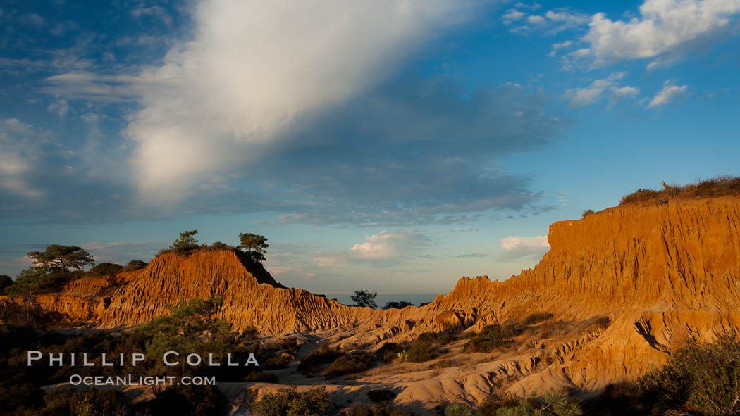 Broken Hill is an ancient, compacted sand dune that was uplifted to its present location and is now eroding. Torrey Pines State Reserve, San Diego, California, USA, natural history stock photograph, photo id 14756