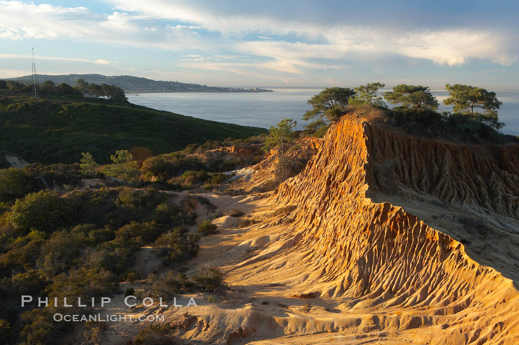 Broken Hill with La Jolla and the Pacific Ocean in the distance.  Broken Hill is an ancient, compacted sand dune that was uplifted to its present location and is now eroding. Torrey Pines State Reserve, San Diego, California, USA, natural history stock photograph, photo id 14764