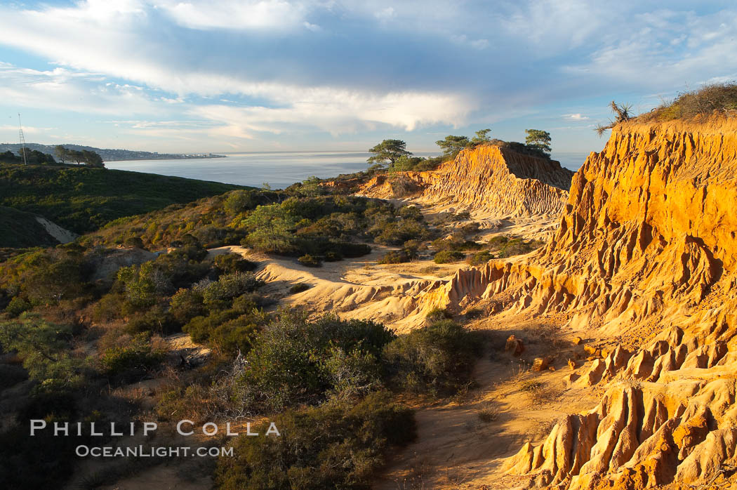 Broken Hill with La Jolla and the Pacific Ocean in the distance.  Broken Hill is an ancient, compacted sand dune that was uplifted to its present location and is now eroding. Torrey Pines State Reserve, San Diego, California, USA, natural history stock photograph, photo id 14763