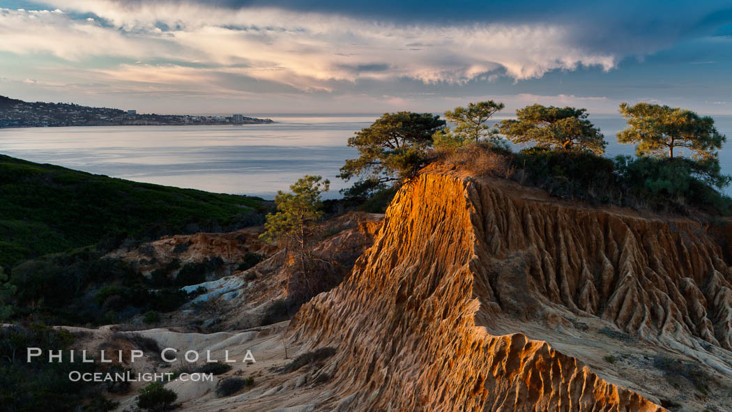 Broken Hill with La Jolla and the Pacific Ocean in the distance.  Broken Hill is an ancient, compacted sand dune that was uplifted to its present location and is now eroding. Torrey Pines State Reserve, San Diego, California, USA, natural history stock photograph, photo id 14767