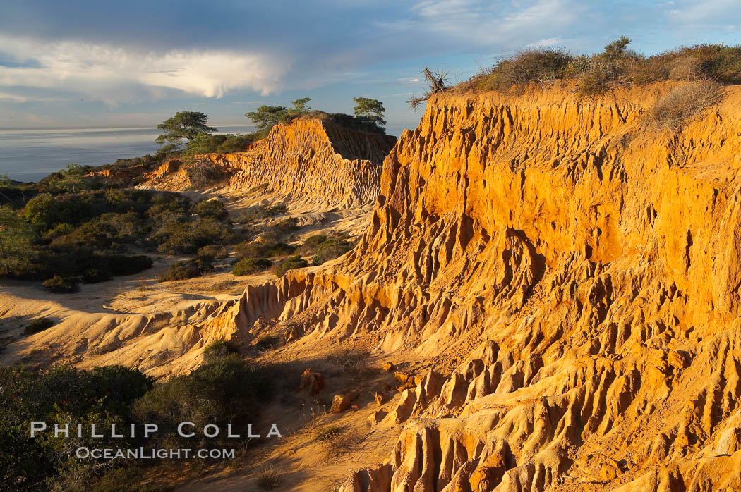 Broken Hill with the Pacific Ocean in the distance.  Broken Hill is an ancient, compacted sand dune that was uplifted to its present location and is now eroding. Torrey Pines State Reserve, San Diego, California, USA, natural history stock photograph, photo id 14757