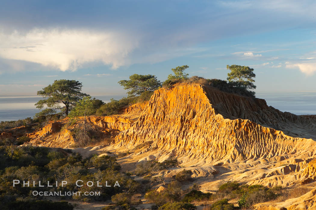 Broken Hill with the Pacific Ocean in the distance.  Broken Hill is an ancient, compacted sand dune that was uplifted to its present location and is now eroding. Torrey Pines State Reserve, San Diego, California, USA, natural history stock photograph, photo id 14761