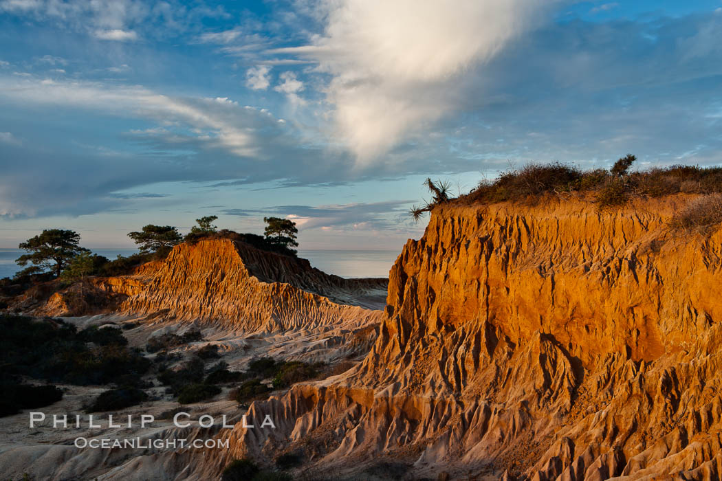 Broken Hill is an ancient, compacted sand dune that was uplifted to its present location and is now eroding. Torrey Pines State Reserve, San Diego, California, USA, natural history stock photograph, photo id 14765