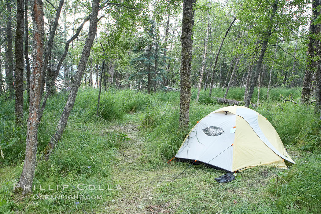 My campsite. Brooks Camp, Katmai National Park, Alaska, USA, natural history stock photograph, photo id 17386