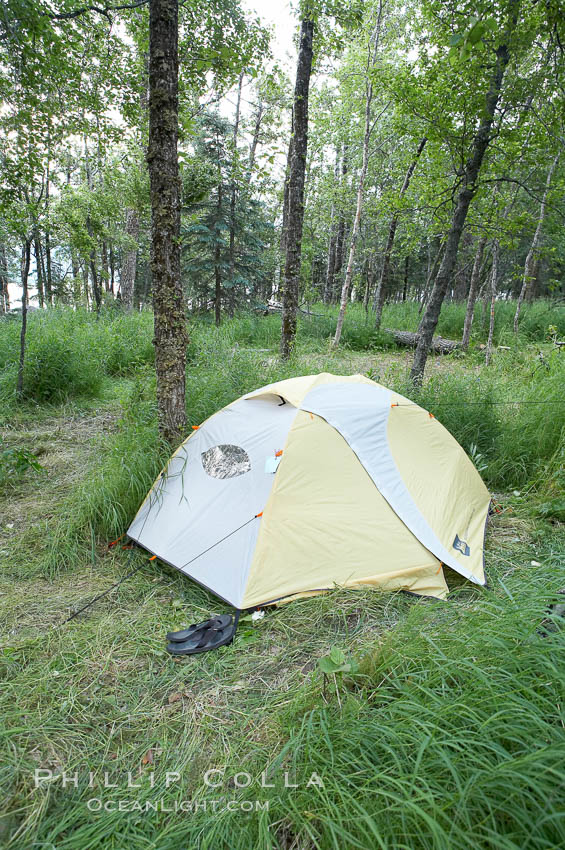 My campsite. Brooks Camp, Katmai National Park, Alaska, USA, natural history stock photograph, photo id 17387