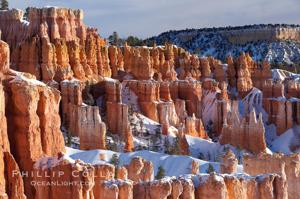 Bryce Canyon hoodoos line all sides of the Bryce Amphitheatre. Bryce Canyon National Park, Utah, USA, natural history stock photograph, photo id 18618