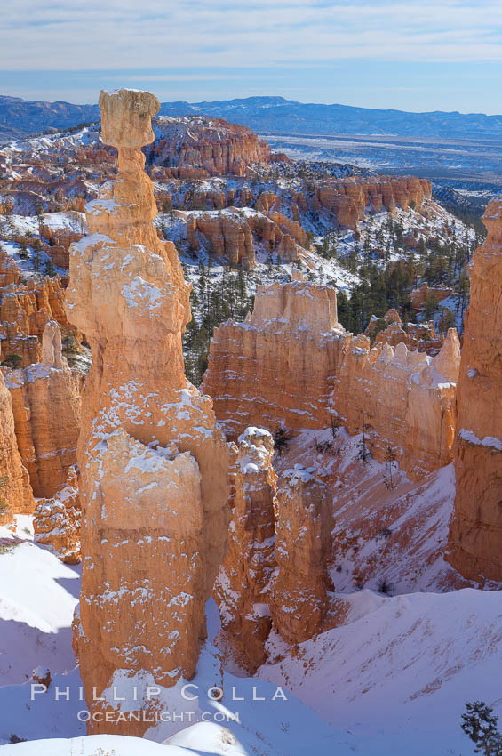 Bryce Canyon hoodoos line all sides of the Bryce Amphitheatre. Bryce Canyon National Park, Utah, USA, natural history stock photograph, photo id 18622