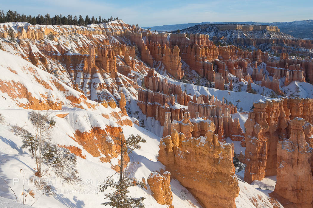 Bryce Canyon hoodoos line all sides of the Bryce Amphitheatre. Bryce Canyon National Park, Utah, USA, natural history stock photograph, photo id 18626