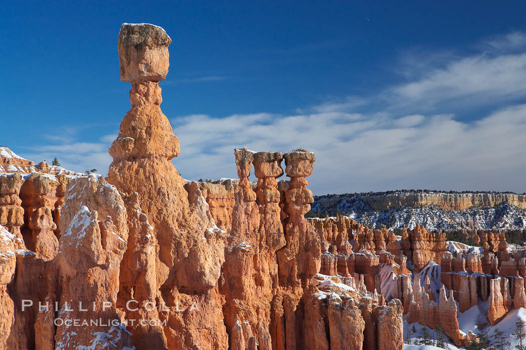 Bryce Canyon hoodoos line all sides of the Bryce Amphitheatre. Bryce Canyon National Park, Utah, USA, natural history stock photograph, photo id 18630