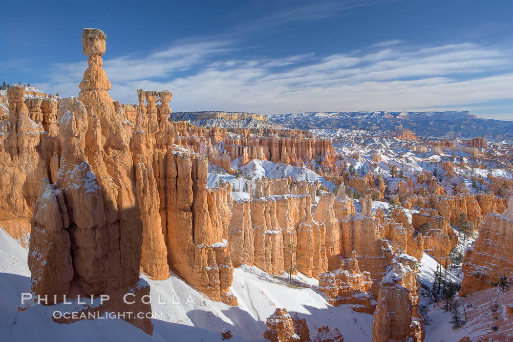 Bryce Canyon hoodoos line all sides of the Bryce Amphitheatre. Bryce Canyon National Park, Utah, USA, natural history stock photograph, photo id 18634