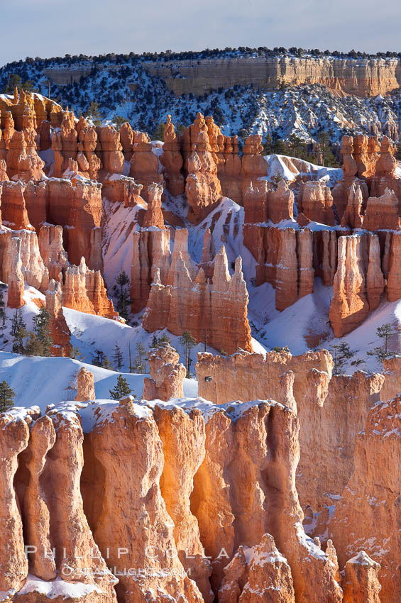 Bryce Canyon hoodoos line all sides of the Bryce Amphitheatre. Bryce Canyon National Park, Utah, USA, natural history stock photograph, photo id 18638