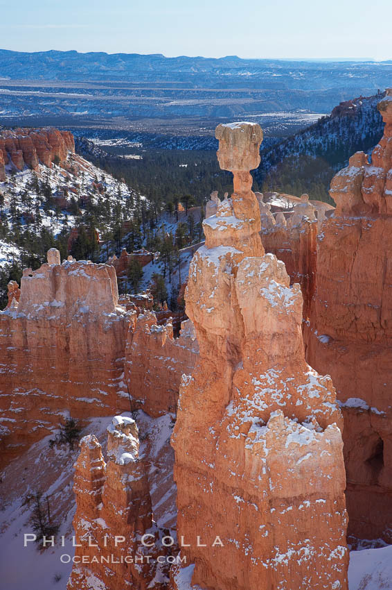 Bryce Canyon hoodoos line all sides of the Bryce Amphitheatre. Bryce Canyon National Park, Utah, USA, natural history stock photograph, photo id 18616