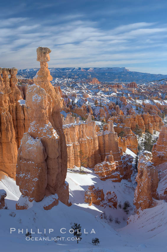 Bryce Canyon hoodoos line all sides of the Bryce Amphitheatre. Bryce Canyon National Park, Utah, USA, natural history stock photograph, photo id 18624