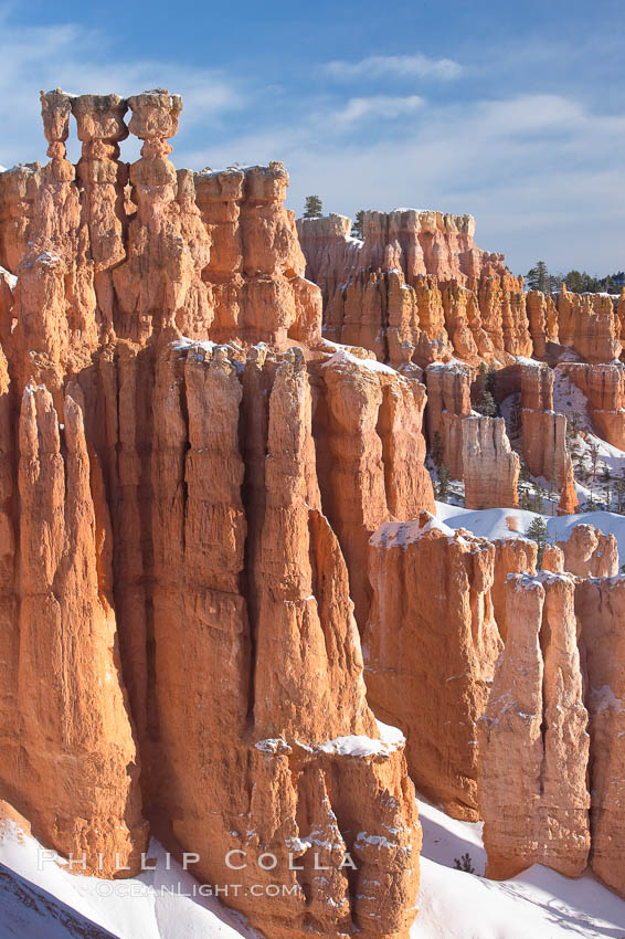Bryce Canyon hoodoos line all sides of the Bryce Amphitheatre. Bryce Canyon National Park, Utah, USA, natural history stock photograph, photo id 18628