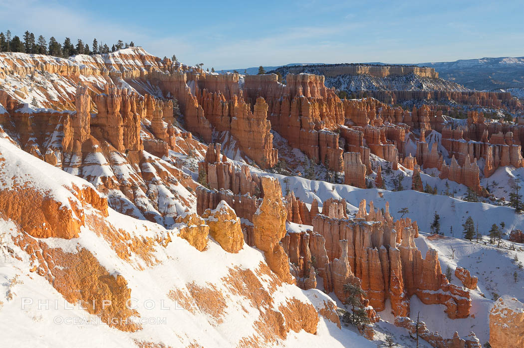 Bryce Canyon hoodoos line all sides of the Bryce Amphitheatre. Bryce Canyon National Park, Utah, USA, natural history stock photograph, photo id 18636