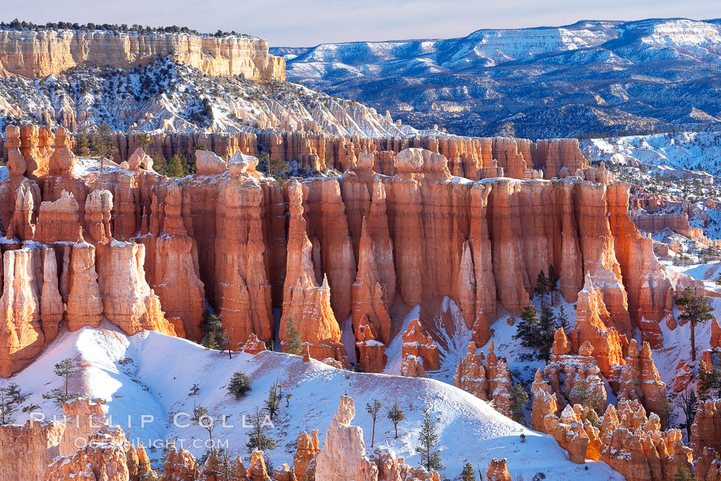 Bryce Canyon hoodoos line all sides of the Bryce Amphitheatre. Bryce Canyon National Park, Utah, USA, natural history stock photograph, photo id 18615