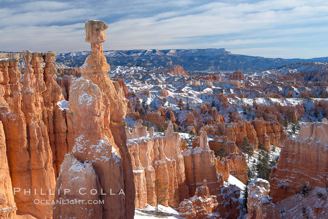 Bryce Canyon hoodoos line all sides of the Bryce Amphitheatre. Bryce Canyon National Park, Utah, USA, natural history stock photograph, photo id 18619