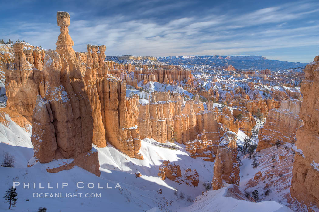 Bryce Canyon hoodoos line all sides of the Bryce Amphitheatre. Bryce Canyon National Park, Utah, USA, natural history stock photograph, photo id 18623