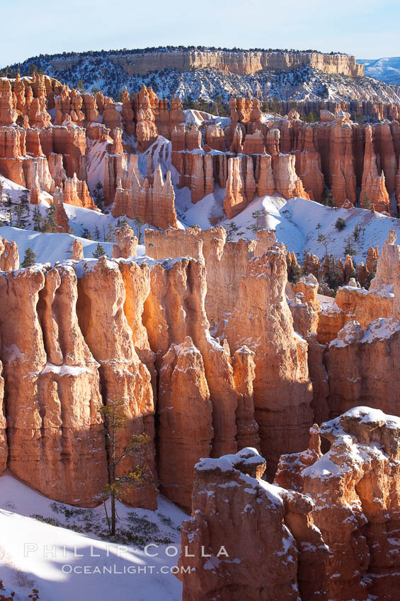 Bryce Canyon hoodoos line all sides of the Bryce Amphitheatre. Bryce Canyon National Park, Utah, USA, natural history stock photograph, photo id 18627