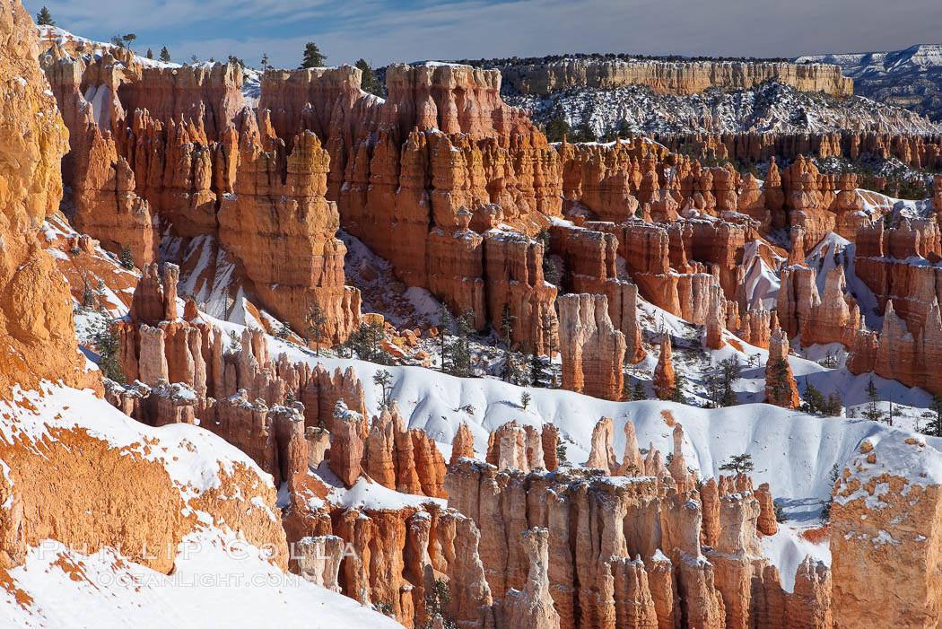 Bryce Canyon hoodoos line all sides of the Bryce Amphitheatre. Bryce Canyon National Park, Utah, USA, natural history stock photograph, photo id 18631
