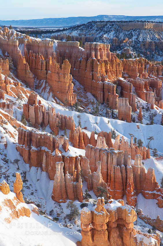 Bryce Canyon hoodoos line all sides of the Bryce Amphitheatre. Bryce Canyon National Park, Utah, USA, natural history stock photograph, photo id 18635