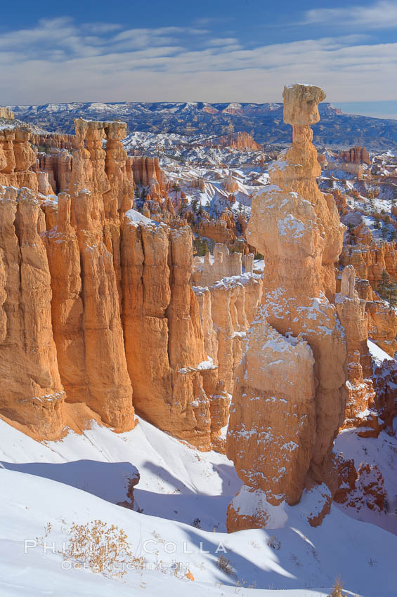 Bryce Canyon hoodoos line all sides of the Bryce Amphitheatre. Bryce Canyon National Park, Utah, USA, natural history stock photograph, photo id 18639