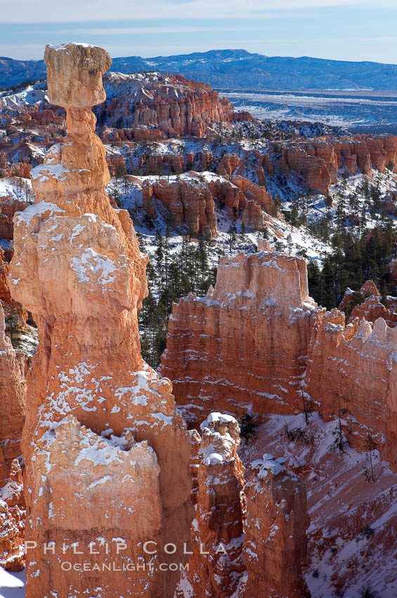 Bryce Canyon hoodoos line all sides of the Bryce Amphitheatre. Bryce Canyon National Park, Utah, USA, natural history stock photograph, photo id 18613