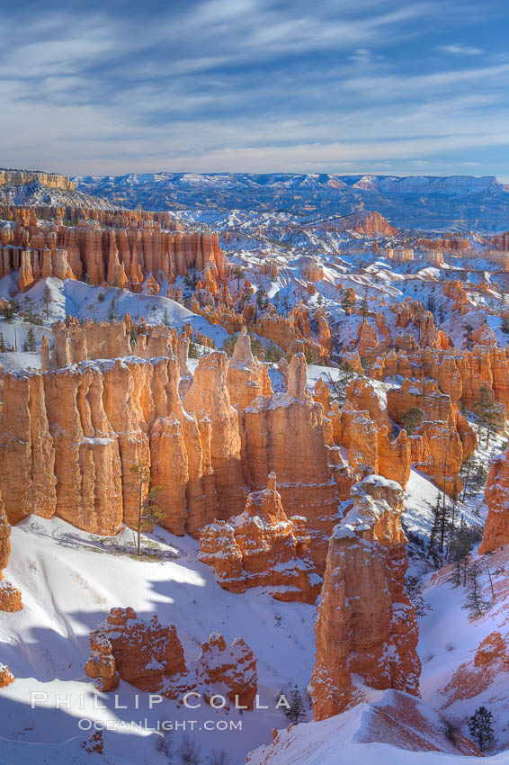 Bryce Canyon hoodoos line all sides of the Bryce Amphitheatre. Bryce Canyon National Park, Utah, USA, natural history stock photograph, photo id 18621