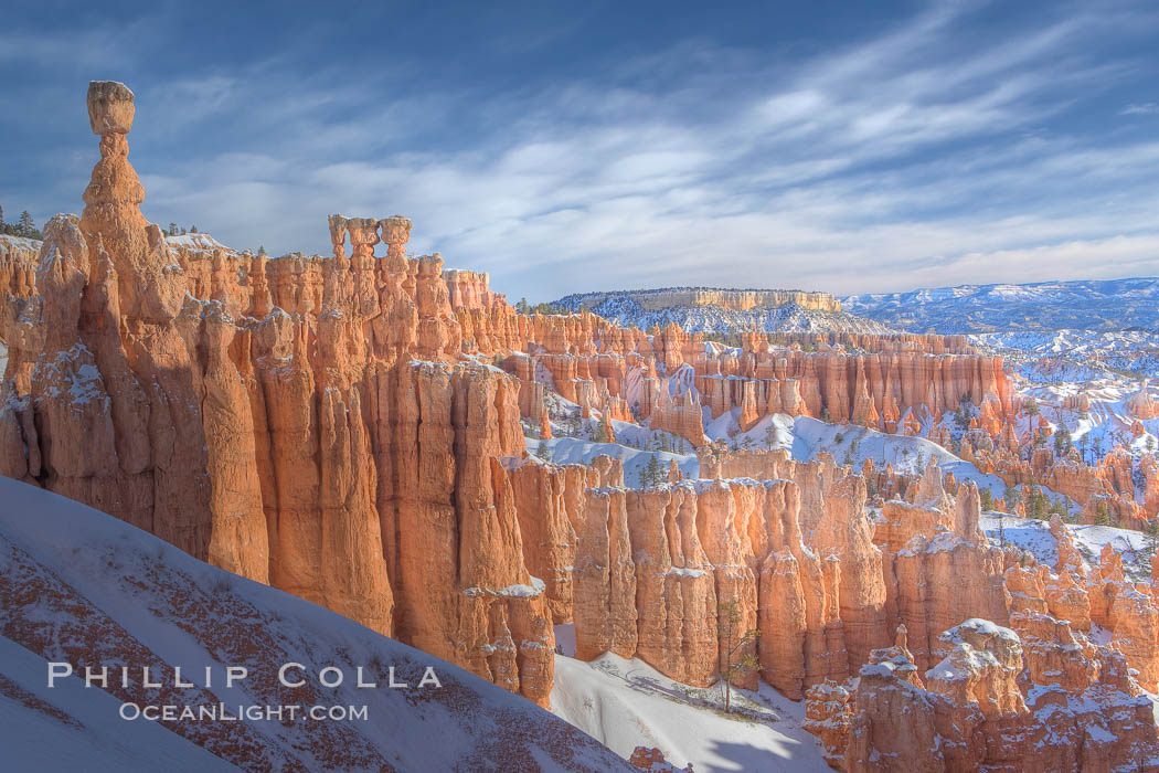 Bryce Canyon hoodoos line all sides of the Bryce Amphitheatre. Bryce Canyon National Park, Utah, USA, natural history stock photograph, photo id 18625