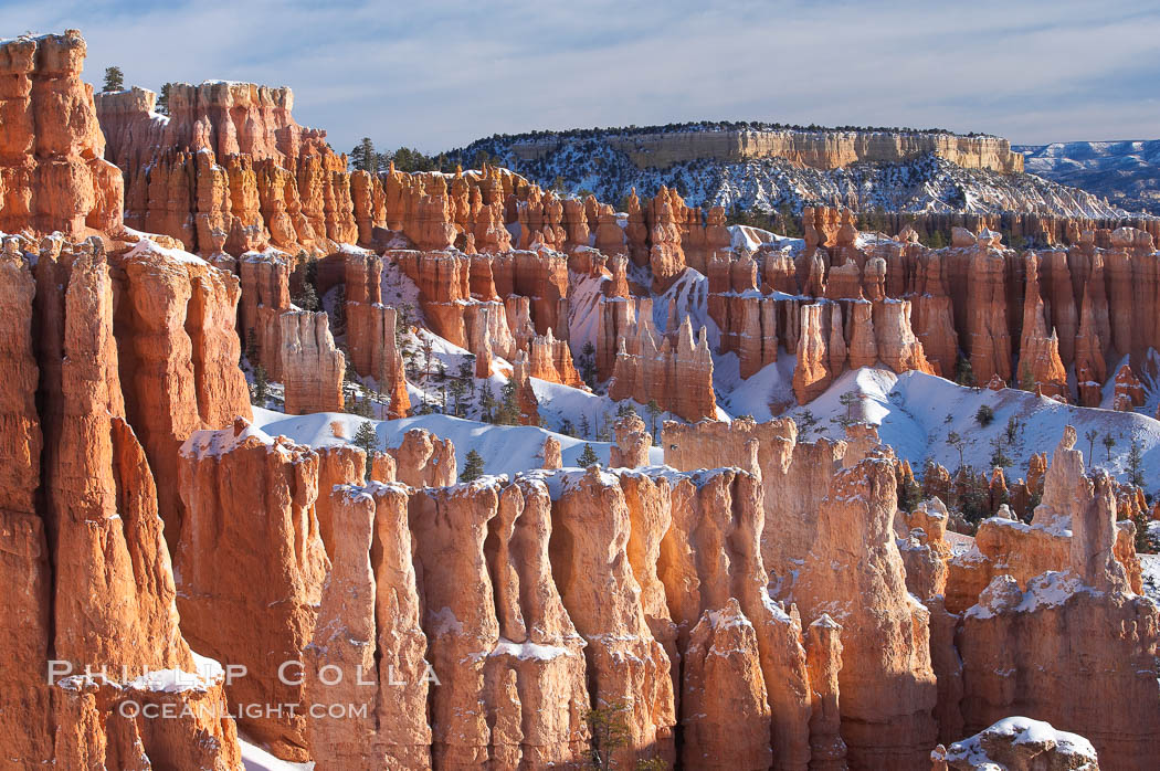 Bryce Canyon hoodoos line all sides of the Bryce Amphitheatre. Bryce Canyon National Park, Utah, USA, natural history stock photograph, photo id 18637